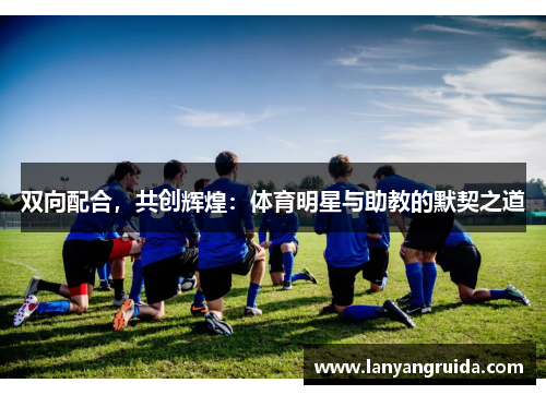 双向配合，共创辉煌：体育明星与助教的默契之道